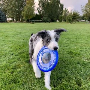 Meet your Posher, Savannah